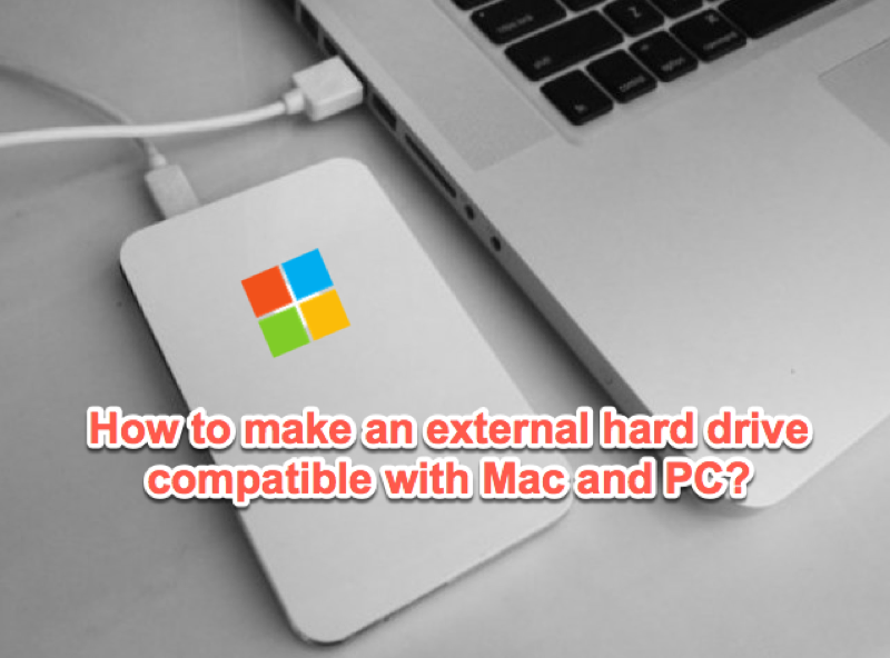 image formats for both mac and pc